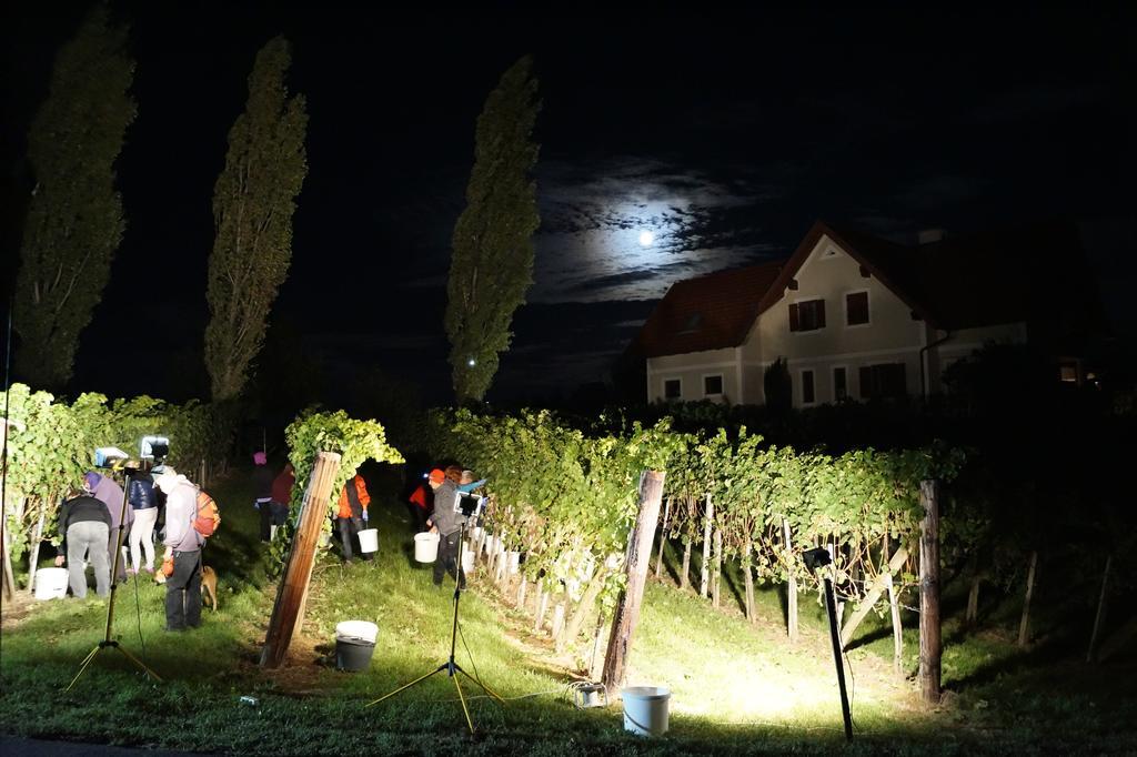 Winzerhof Familie Kloeckl Apartman Klöch Kültér fotó