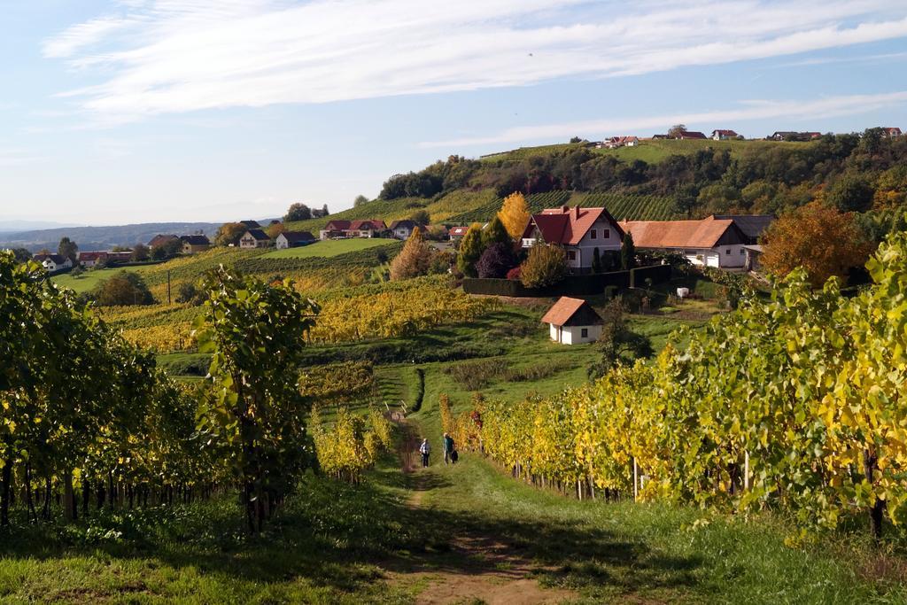 Winzerhof Familie Kloeckl Apartman Klöch Kültér fotó