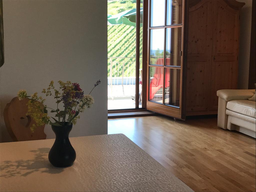 Winzerhof Familie Kloeckl Apartman Klöch Kültér fotó