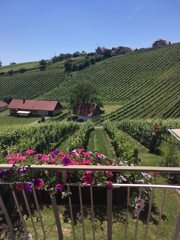 Winzerhof Familie Kloeckl Apartman Klöch Kültér fotó